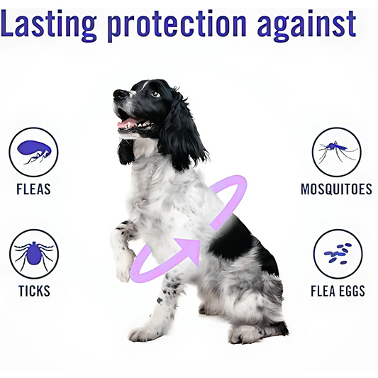 PupStraps Flea & Tick Relief Collar