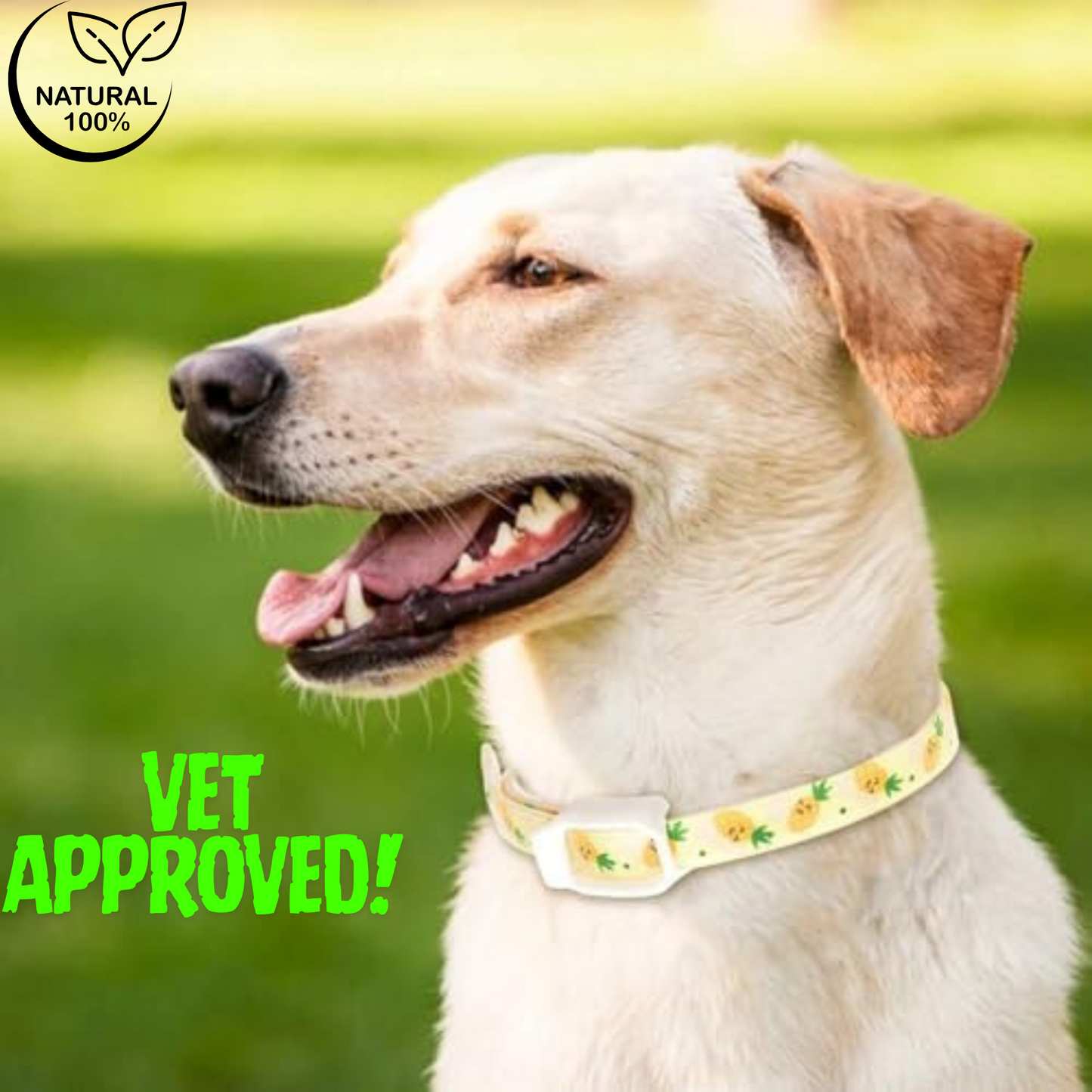 PupStraps Flea & Tick Relief Collar